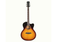 Sire Larry Carlton A4-G VS Sire Larry Carlton A4-G VS